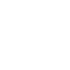 lazada icon